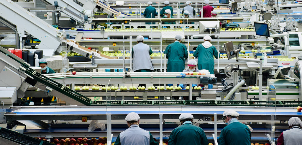 Branche: Industrie